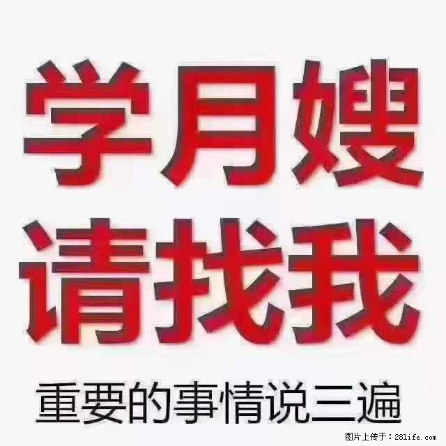 为什么要学习月嫂，育婴师？ - 其他广告 - 广告专区 - 达州分类信息 - 达州28生活网 dazhou.28life.com