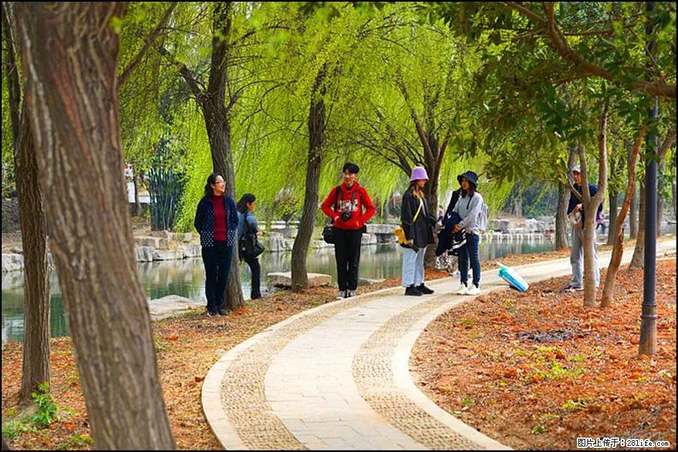 【春天,广西桂林灌阳县向您发出邀请!】江口老街又逢春 - 游山玩水 - 达州生活社区 - 达州28生活网 dazhou.28life.com