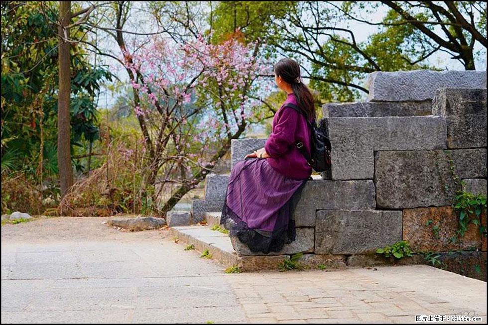 【春天,广西桂林灌阳县向您发出邀请!】江口老街又逢春 - 游山玩水 - 达州生活社区 - 达州28生活网 dazhou.28life.com