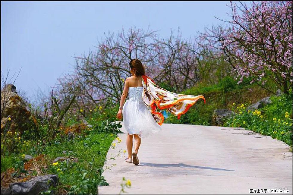 【春天,广西桂林灌阳县向您发出邀请!】望月岭上桃花开 - 游山玩水 - 达州生活社区 - 达州28生活网 dazhou.28life.com