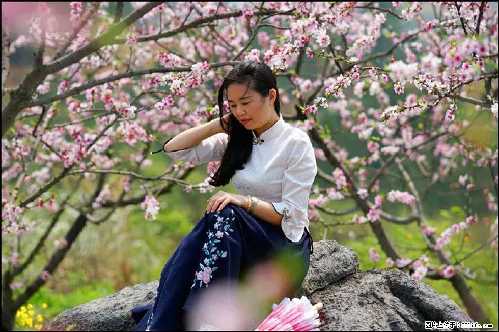 【春天,广西桂林灌阳县向您发出邀请!】望月岭上桃花开 - 游山玩水 - 达州生活社区 - 达州28生活网 dazhou.28life.com