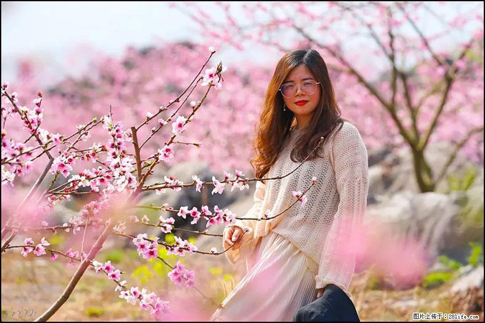 【春天,广西桂林灌阳县向您发出邀请!】望月岭上桃花开 - 游山玩水 - 达州生活社区 - 达州28生活网 dazhou.28life.com