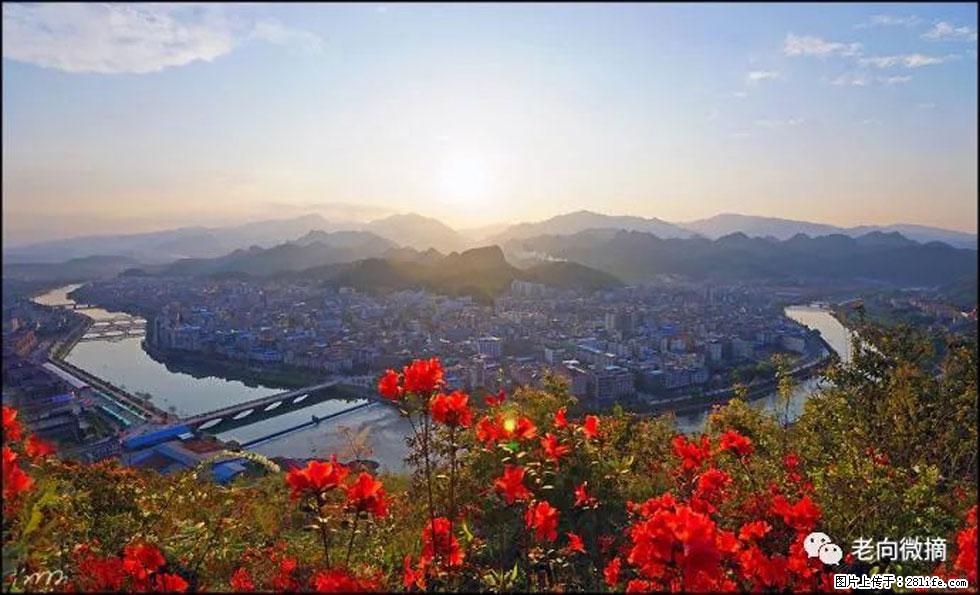 【春天，广西桂林灌阳县向您发出邀请！】登麒麟山，相约映山红 - 游山玩水 - 达州生活社区 - 达州28生活网 dazhou.28life.com