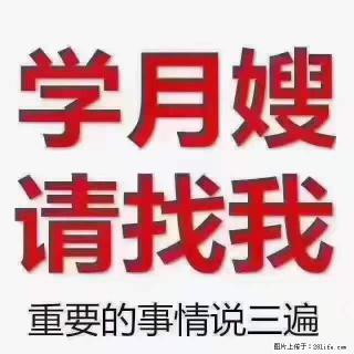为什么要学习月嫂，育婴师？ - 达州28生活网 dazhou.28life.com