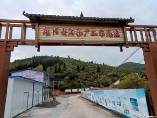 【灌阳县油茶产业示范区】一个有着充实的精神生活的人，对待身外之物自会有一种淡泊的态度 - 达州28生活网 dazhou.28life.com