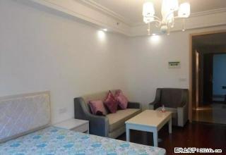 可月付 中迪国际电梯公寓1室1厅 精装修 拎包入住 - 达州28生活网 dazhou.28life.com