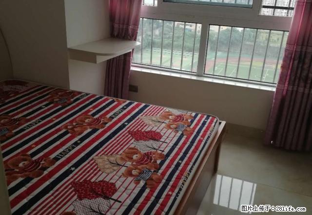 市内，西外各个地段电梯公寓，单间带卫生间，一室一厅月租房出租 - 房屋出租 - 房屋租售 - 达州分类信息 - 达州28生活网 dazhou.28life.com