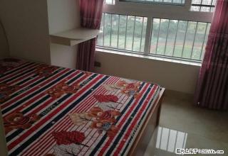 市内，西外各个地段电梯公寓，单间带卫生间，一室一厅月租房出租 - 达州28生活网 dazhou.28life.com