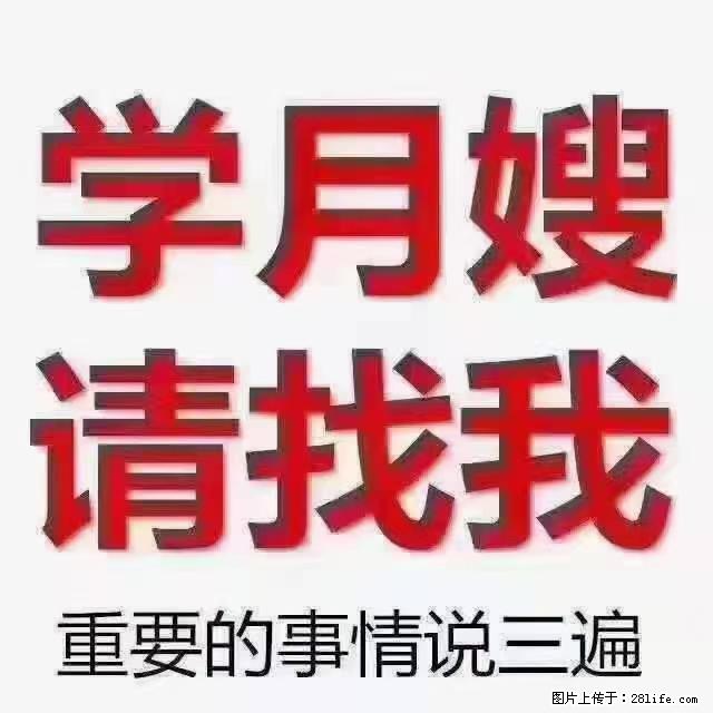 【招聘】月嫂,上海徐汇区 - 职场交流 - 达州生活社区 - 达州28生活网 dazhou.28life.com