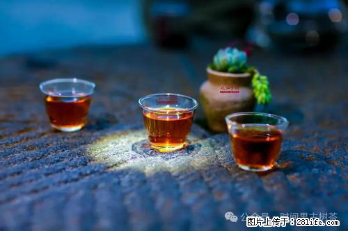 时间果百年古树2025年春红茶 - 购物交流 - 达州生活社区 - 达州28生活网 dazhou.28life.com