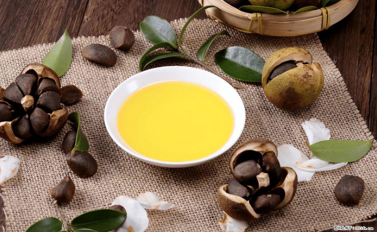 揭秘茶油的5大核心营养成分！被称为人体健康的“守护盾”！ - 达州生活资讯 - 达州28生活网 dazhou.28life.com