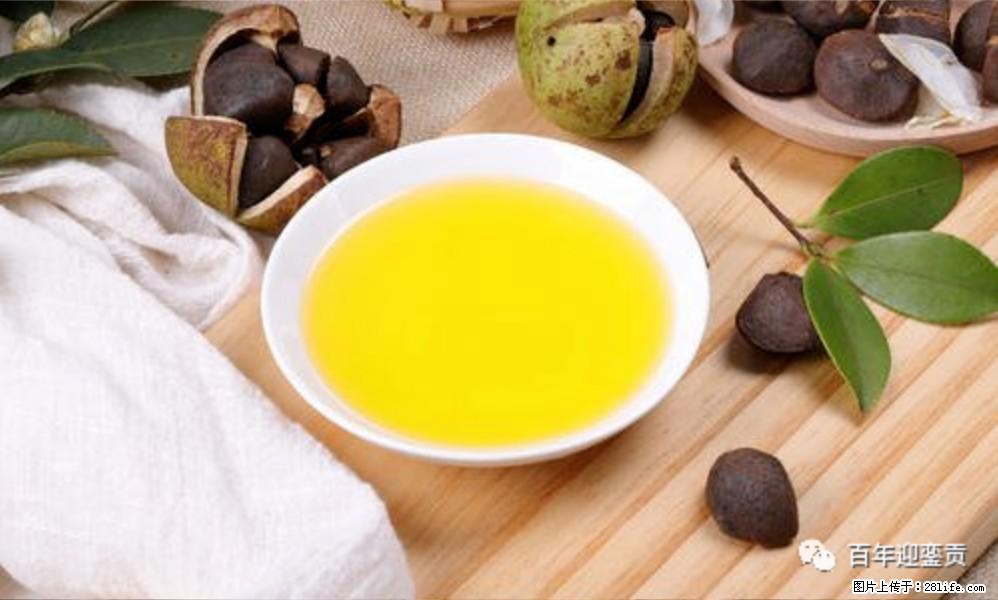 揭秘茶油的5大核心营养成分！被称为人体健康的“守护盾”！ - 达州生活资讯 - 达州28生活网 dazhou.28life.com