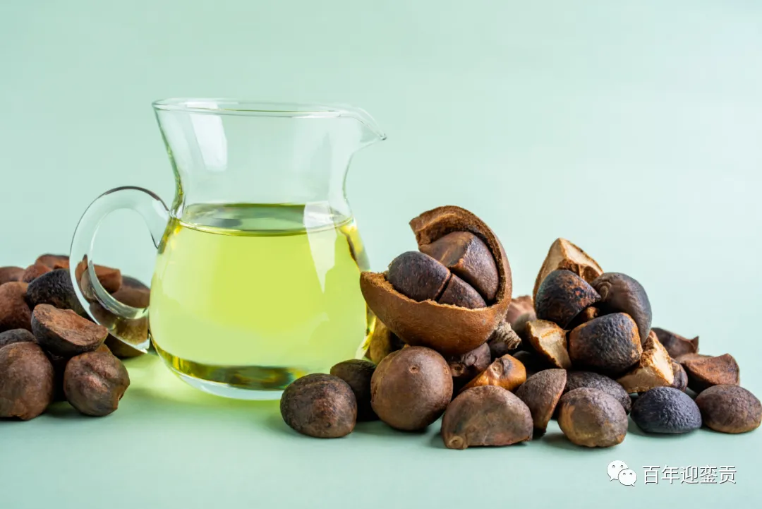 世界没有真相，只有认知，最好的食用油是中国的山茶油！ - 达州生活资讯 - 达州28生活网 dazhou.28life.com