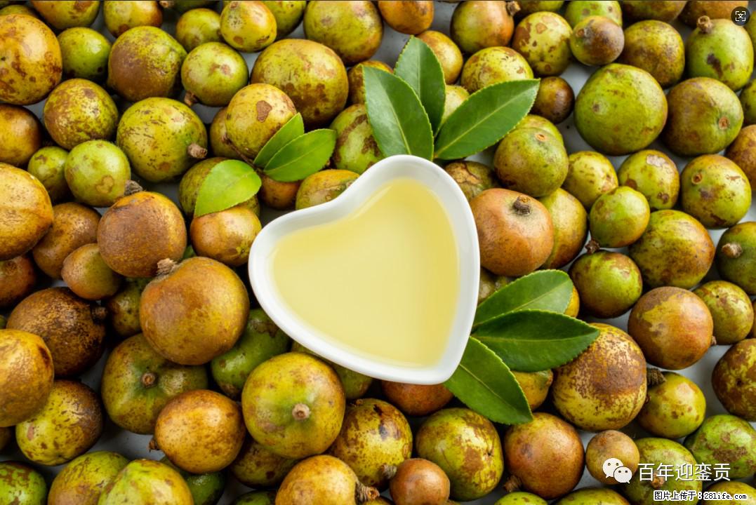 世界没有真相，只有认知，最好的食用油是中国的山茶油！ - 达州生活资讯 - 达州28生活网 dazhou.28life.com