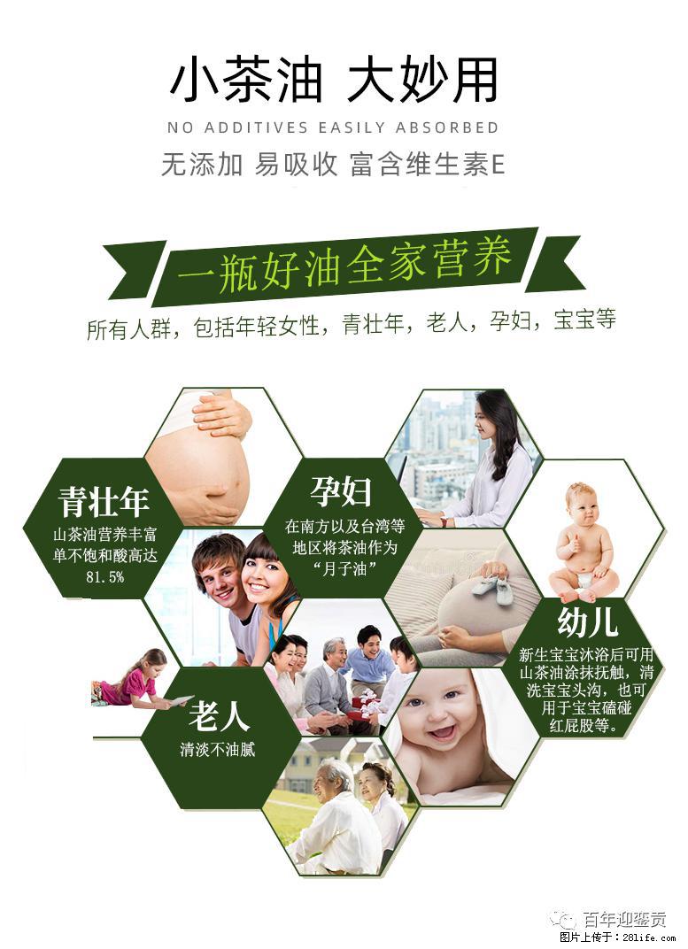 世界没有真相，只有认知，最好的食用油是中国的山茶油！ - 达州生活资讯 - 达州28生活网 dazhou.28life.com