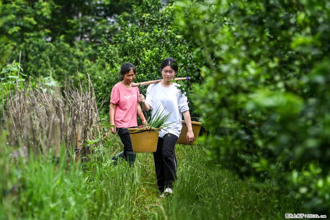 全网追的“扁担女孩”，找了一份暑假工，时薪12元 - 达州生活资讯 - 达州28生活网 dazhou.28life.com