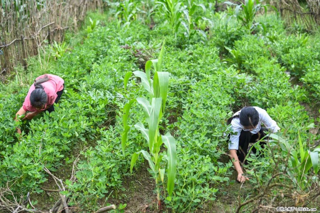全网追的“扁担女孩”，找了一份暑假工，时薪12元 - 达州生活资讯 - 达州28生活网 dazhou.28life.com