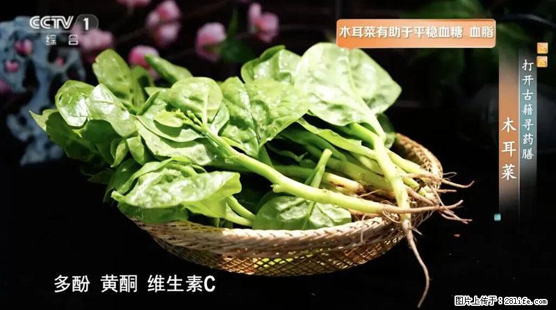 比牛奶补钙还厉害！凉血解毒、稳血糖...这菜冬天必吃，很多人却当草 - 达州生活资讯 - 达州28生活网 dazhou.28life.com