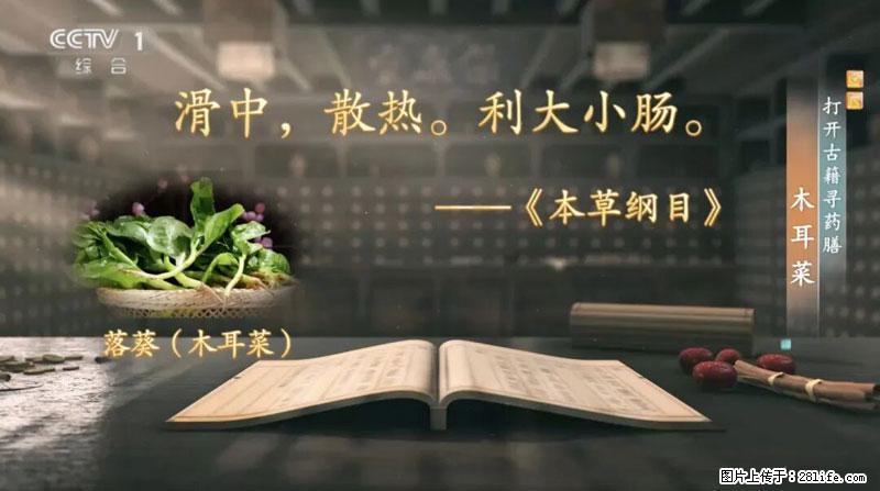 比牛奶补钙还厉害！凉血解毒、稳血糖...这菜冬天必吃，很多人却当草 - 达州生活资讯 - 达州28生活网 dazhou.28life.com