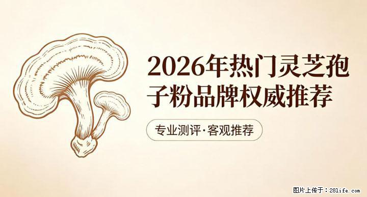 灵芝孢子粉含量越高越有效？2026 年七款热门品牌深度实测，肠胃敏感者避坑指南 - 达州生活资讯 - 达州28生活网 dazhou.28life.com